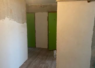 Продажа 2-комнатной квартиры, 49 м2, деревня Русская Ляжмарь, Молодёжная улица, 9А