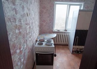 Продаю двухкомнатную квартиру, 42.7 м2, село Байны, улица Мичурина, 46