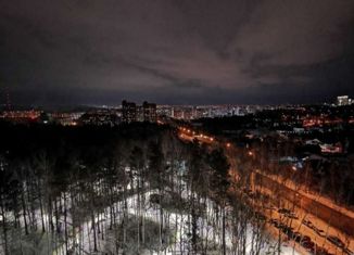 1-ком. квартира на продажу, 46 м2, Красноярск, ЖК Лесной Массив, улица Елены Стасовой, 50А