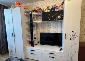 Продажа однокомнатной квартиры, 29.9 м2, село Авдон, улица 60 лет СССР, 23