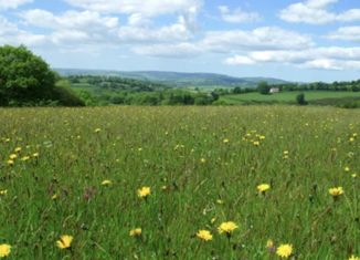 Продается участок, 25 сот., деревня Старые Ключищи