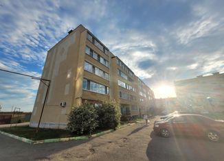 Продается 2-комнатная квартира, 53 м2, село Чемодановка, Фабричная улица, 20
