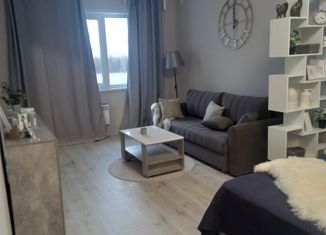 1-ком. квартира на продажу, 48.9 м2, посёлок городского типа Белый Яр, улица Фадеева, 30