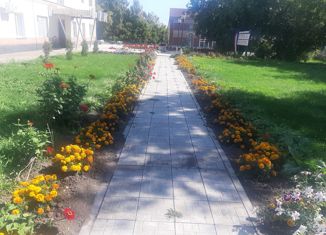 Продам дом, 82 м2, село Усть-Луковка