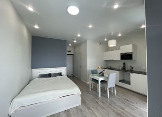 Продам квартиру студию, 30.5 м2, Казань, ЖК Весна 2, улица Азата Аббасова, 21