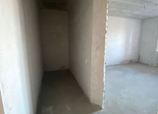 Продажа 1-ком. квартиры, 39.1 м2, Свободный, Шатковская улица, 37