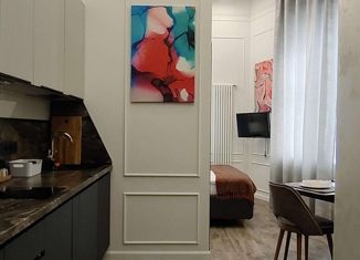 Продается квартира студия, 25 м2, Санкт-Петербург, Старо-Петергофский проспект, 9Б, Старо-Петергофский проспект