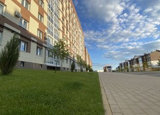 Однокомнатная квартира на продажу, 51.18 м2, посёлок Путёвка, микрорайон Мегаполис-парк, 14/4