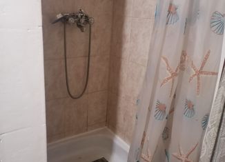 1-комнатная квартира на продажу, 28 м2, Бор, Строительная улица, 7