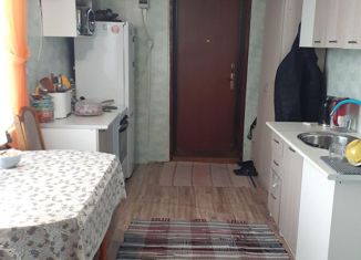 2-комнатная квартира на продажу, 45.5 м2, село Ермаковское, Октябрьская улица, 70А