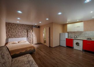 Продается квартира студия, 33 м2, поселок городского типа Емельяново, Новая улица, 21Б