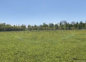 Участок на продажу, 6 сот., деревня Красный Яр, Новая улица