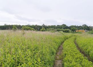 Земельный участок на продажу, 260 сот., поселок Серегино