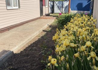 Продам дом, 70 м2, село Тимашево, улица Островского, 11