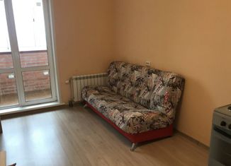 Продаю квартиру студию, 24 м2, Новосибирск, улица Бориса Богаткова, 260/1, улица Бориса Богаткова