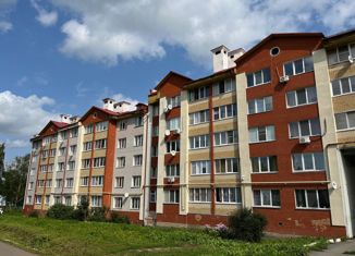 Продается 3-комнатная квартира, 93 м2, село Завьялово, улица Мира, 13