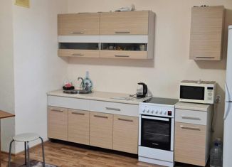 Квартира на продажу студия, 24.6 м2, Челябинск, улица Университетская Набережная, 60