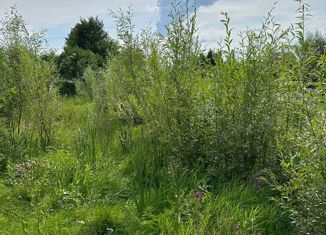 Продам участок, 7 сот., деревня Красный Яр, 1-я Береговая улица