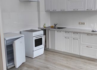 Сдаю в аренду квартиру студию, 38 м2, Чайковский, улица Ленина, 83/1