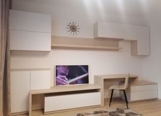 Продается квартира студия, 22.9 м2, Санкт-Петербург, Среднерогатская улица, 16к2, ЖК Фо Ю