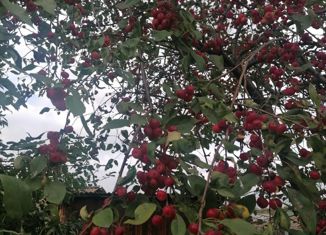 Продажа трехкомнатной квартиры, 71 м2, село Каптырево, улица Олега Кошевого, 13