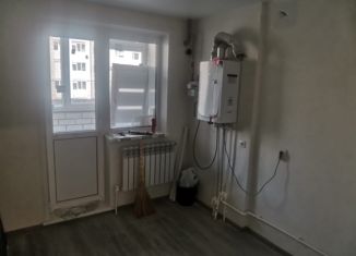 Однокомнатная квартира на продажу, 29 м2, деревня Крутые Выселки, улица Герасимова, 2, ЖК Изумрудный Город