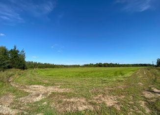 Продается участок, 8 сот., деревня Молзино, Советская улица, 54