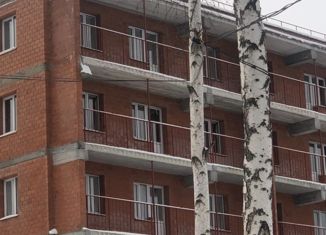 Продаю однокомнатную квартиру, 24.25 м2, рабочий поселок Маркова, микрорайон Берёзовый, 249