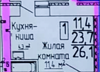 Квартира на продажу студия, 26.1 м2, Благовещенск, ЖК Лазурный Берег, Заводская улица, 4/4