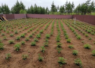 Продажа земельного участка, 15 сот., село Верх-Чита, Малый переулок