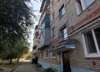 Четырехкомнатная квартира на продажу, 59.9 м2, село Покровка, улица Советов, 86