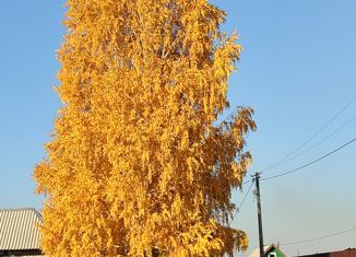 Продаю участок, 12 сот., поселок городского типа Балахта, улица Мудрова