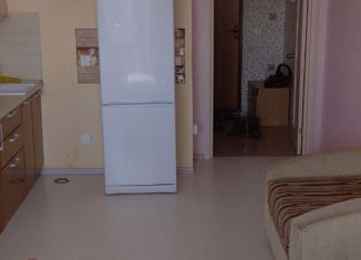 Продаю квартиру студию, 23 м2, Ижевск, Нижняя улица, 2, ЖК Металлург