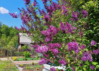 Дом на продажу, 45 м2, СНТ Лужки, СНТ Лужки, 305