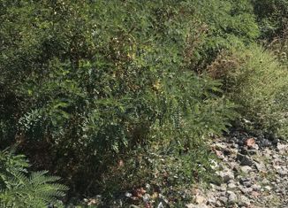 Продаю участок, 6 сот., садоводческое товарищество Донское, Привольная улица, 12