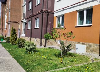 Продается 1-комнатная квартира, 43.3 м2, посёлок Путёвка, микрорайон Мегаполис-парк, 9