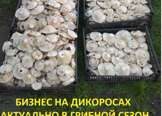 Продажа участка, 40 сот., рабочий посёлок Муромцево, улица Заготзерно, 2