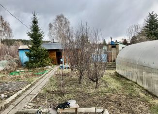 Продам участок, 4.6 сот., СНТ Сибирский садовод, СНТ Сибирский Садовод, 545