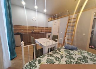 Сдача в аренду квартиры студии, 24 м2, Санкт-Петербург, улица Калинина, 10, муниципальный округ Нарвский
