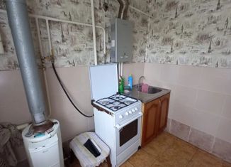 Однокомнатная квартира на продажу, 31.3 м2, деревня Безлычное, Центральная улица, 1