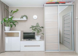 Продажа квартиры студии, 30.7 м2, посёлок Трудовое, улица Лермонтова, 33