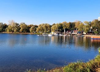 Продаю квартиру студию, 20 м2, Москва, Салтыковская улица, 6/1к7, Салтыковская улица