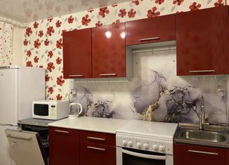 Сдается 1-комнатная квартира, 34 м2, Мурино, проспект Авиаторов Балтики, 7, ЖК Виктория