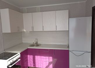 Сдам в аренду 1-ком. квартиру, 38 м2, Ульяновск