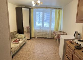 Продажа квартиры студии, 15.1 м2, Ижевск, улица Дзержинского, 14А, жилой район Буммаш