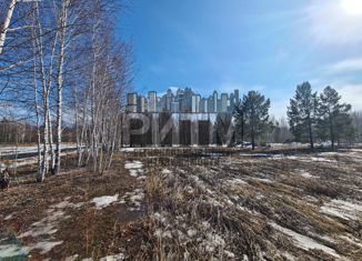 Продаю земельный участок, 300 сот., деревня Ключи, Луговая улица