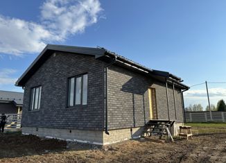 Продажа дома, 70 м2, деревня Беляницы, Луговая улица