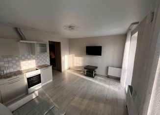 Продам квартиру студию, 25.6 м2, Новосибирск, Кубовая улица, 47/1, ЖК Солнечные Часы