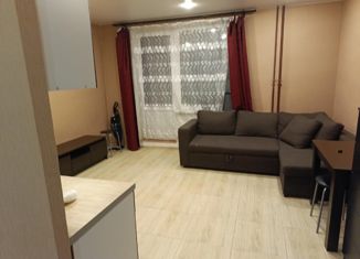 Сдается в аренду квартира студия, 24.2 м2, деревня Кудрово, Европейский проспект, 13к4