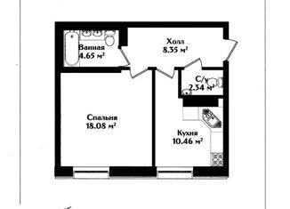 Продаю 1-комнатную квартиру, 44.6 м2, Санкт-Петербург, Малодетскосельский проспект, 40, метро Фрунзенская